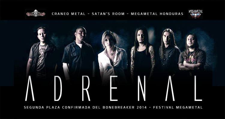 adrenal megametal